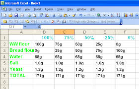 Bread Experiment 1 Whole Wheat Kath Eats Real Food