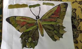 Gambar ikan untuk kolase daun kering. Membuat Kolase Dari Daun Bunga Dan Ranting Kering