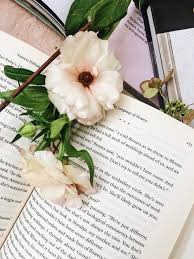 We did not find results for: Staff Picks Our Favorite Flower And Business Books
