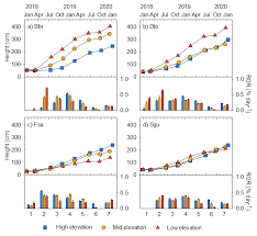 Image result for Bridelia brideliifolia
