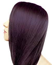Permanent Archives Ion At Home Hair Color Plum Raspberry Hair Plum Hair