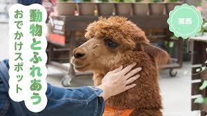 関西 動物 ふれあい 無料