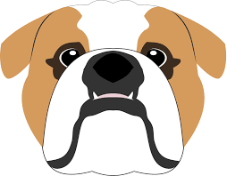 English Bulldog Vector English Bulldog Bulldog Dog Portraits Illustration