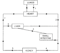 Blood is mostly liquid, with numerous cells and proteins suspended in it, making blood is prevented from clotting in the blood vessels by their smoothness, and the finely tuned balance of clotting factors. The Diagram Below Represents Circulation In The Human Body Answer The Question That Follow Sarthaks Econnect Largest Online Education Community