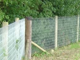 Direct from great big canvas! Galvanised Horse Fencing Mesh 4ft High Non Climb Rigid Stay Fence Knotted Wire