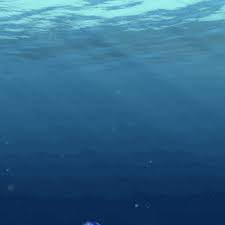 Check spelling or type a new query. Dory Gif Gifs Primo Gif Latest Animated Gifs