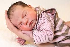 Max und Sophie auf dem Vormarsch