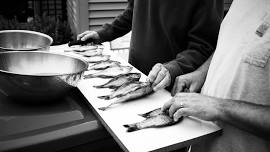 Intro to Culinary Arts-Chicken and Fish Butchery