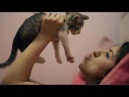 sadece yeni kedi sahiplenen insanlarda gordugumuz davranislar youtube