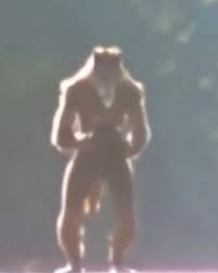 Over the past 48 hours, a disturbing piece of footage allegedly captured  near the eastern boundary of Olympic National Park, Washington has begun  circulating rapidly online. The video, recorded by a pair