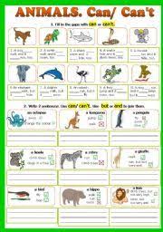 Can Can T Animals Fully Editable Can Can T English Lessons For Kids Animal Lessons