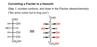 How is a carbohydrate shown in a fischer projection? Converting A Fischer Projection To A Haworth And Vice Versa Master Organic Chemistry