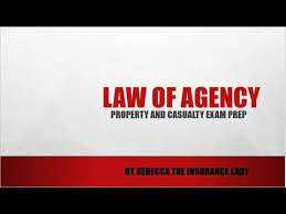 Start your free online quote and save $536 today! Law Of Agency Youtube