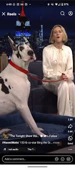 Everyone else is doing it so I may aswell join 😅