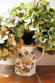 White is not the most exciting flower color, but it is probably the one seen most often in nature. Drying Hydrangea Flowers Dried Flower Craft