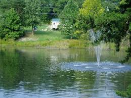 The pond (album), 2012 kathryn williams album. The Pond Picture Of Golden Pond Resort Monticello Tripadvisor