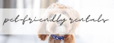 View our entire pet policy on our rental policies page. Pet Friendly Vacation Rentals
