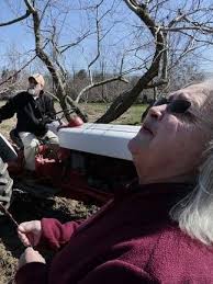 Disastrous freeze leaves Acushnet peach farmers worried about future