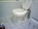 Toilet overflowing when flushed