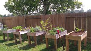 Counter Height Garden Boxes By Janet Fox Garden Planter Boxes Building A Raised Garden Diy Raised Garden