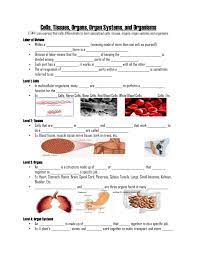 Cells Tissues Organs Organ Systems And Organisms