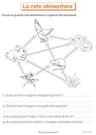 Gli ecosistemi e la catena alimentare. Pin Su Scuola
