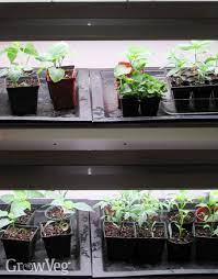 3 Shopping Tips For Plant Grow Lights