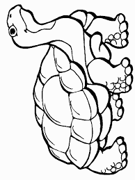 Keep your kids busy doing something fun and creative by printing out free coloring pages. Desert Animals Coloring Pages Coloring Home