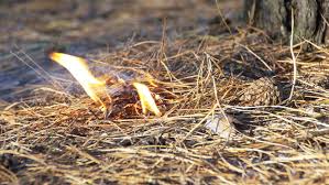 Terdapat berbagai jenis bahan bakar, yang salah satunya adalah bahan bakar bensin atau gasoline yang merupakan salah satu jenis bahan bakar cair (fluida). Bahan Untuk Memulai Api Yang Bisa Ditemukan Di Alam Tinder Indonesia Survival Blog Belajar Bertahan Hidup Di Alam Bebas