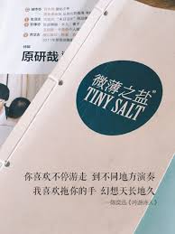 你喜欢不停游走到不同地方演奏我喜欢拖你的手幻想天长地久 Momento Mori Book Cover Emotions