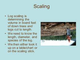 How Much Lumber Is On This Log Deck Ppt Download