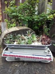 Alte Waage Der Fa Stube Bepflanzt Mit Pflegeleichtem Hauswurz Hohe 12 Cmbreite 31 5 Cmtiefe 21 Cm Gartengestaltung Ideen Gartengestaltung Garten