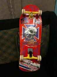 Anthony frank hawk, nicknamed birdman, is an american professional skateboarder, entrepreneur, and the owner of the skateboard company birdh. Smithsonian Collects Tony Hawk Skateboard Smithsonian Institution