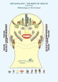 reflexology teeth chart google search reflexology