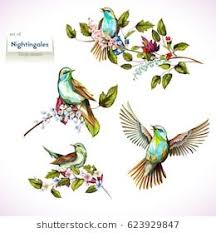 Four Birds On A Branch Tattoo Nightingale On Branches With Leaves Set Of Four Birds Hand Drawn Watercolor All Objects Are Separated And How To Draw Hands Nightingale Wedding Gift Money