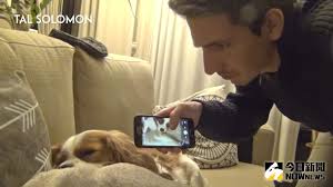 愛犬打呼太大聲主人用這招對付| 其它| NOWnews今日新聞