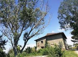 Vi proponiamo una lista di casali(rustici con vigneti e oliveti) ed esclusive case in campagna. Case Da Ristrutturare In Vendita In Toscana Casa It