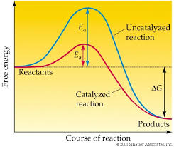 Advanced biology from alison · 3. Community Biology Fedora Project Wiki