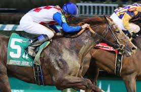 kentucky derby 2019 radar new locale for plus que parfait