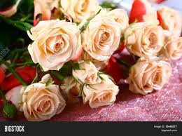 Try istock for even more selection. Very Beautiful Flowers Image Photo Free Trial Bigstock