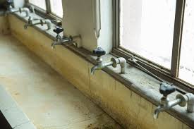 We did not find results for: How To Remove Rust From Your Sink Jenolite