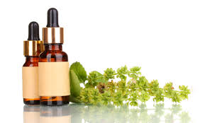 Risultati immagini per fitoterapia