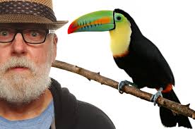 Eric Johnson's favorites