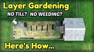 How to build a raised garden bed. How To Garden With Layer Or Lasagna Gardening Method Youtube