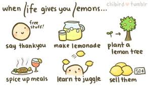 When life gives you lemons, you make lemonade. 16 When Life Gives You Lemons Ideas Lemons Bones Funny Funny