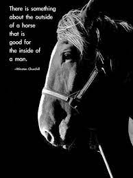 Be inspired by these famous ronald reagan quotes. Pin By Carolyn Marshall On Minhavidaacavalo Horse Quotes Horses Horse Love