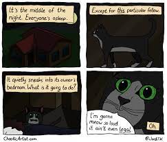 Spincey answer is the same, i will copy it onto both questions. Cats At Night Comics