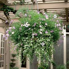 Maybe you would like to learn more about one of these? 25 Easy And Eye Catching Hanging Baskets Better Homes Gardens