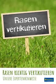 Rasen Vertikutieren Wellness Fur Den Rasen Mit Unseren Expertentipps Vertikutieren Rasen Rasenpflege