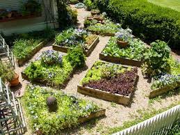 Maybe you would like to learn more about one of these? Tips For A Raised Bed Vegetable Garden Hgtv